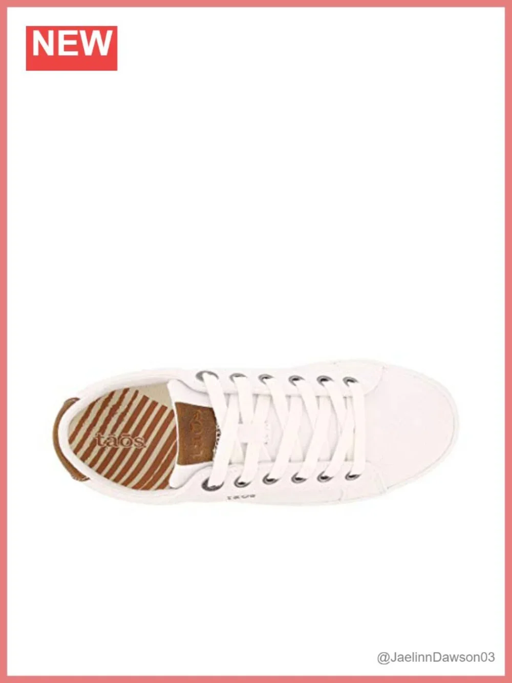 Canvas Lace Up Fashion Sneaker - Low Top Comfort